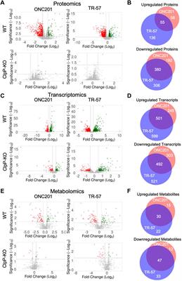 Multi-omics analyses reveal ClpP activators disrupt essential mitochondrial pathways in triple-negative breast cancer